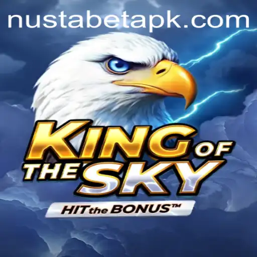 KingOfTheSky: An Immersive Journey Through Virtual Realms